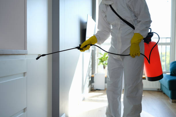 Best Commercial Mold Remediation in Methuen Town, MA