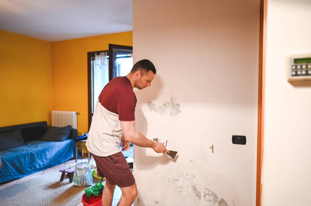 Best Insurance-Related Mold Remediation in Methuen Town, MA
